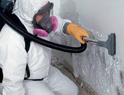 Why You Should Choose Our Mold Remediation Services in Dallas, NC